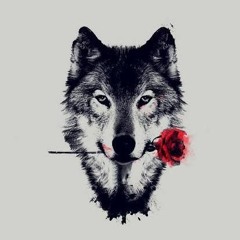 El Solo Lobo