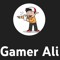 Gamer_Ali12