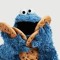 me wanna coooooookie!