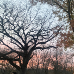 TI3RRA🤷🏽‍♀️