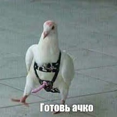 Кикина Василий