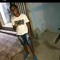 lukinha