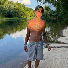 dexdboi