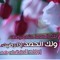 Ahmed Mody