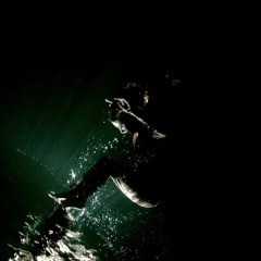 Projet LP Electro français