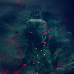 INVLT