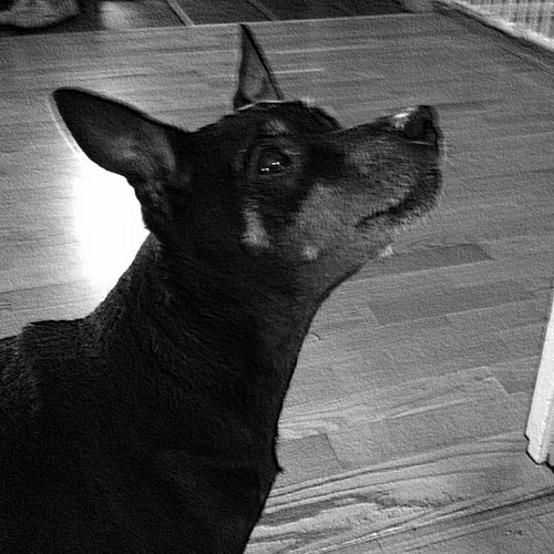 Headhunterz - Back In The Days [Jeipster Edit] (Free Release)