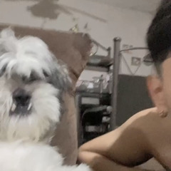 wd diego