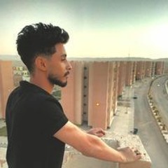 Mahmud Amir