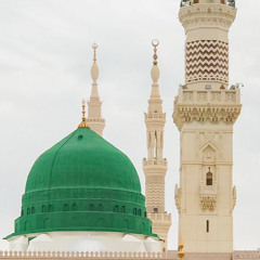 mohamed Amer
