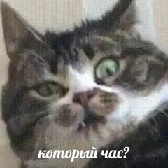 Андрей Мацапура