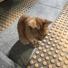 내가 듣고싶은 노래