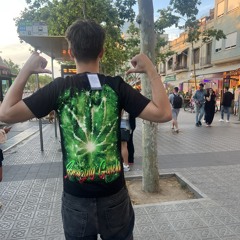 BRONICH3000