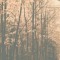 Sense Tapes // DavidSenn