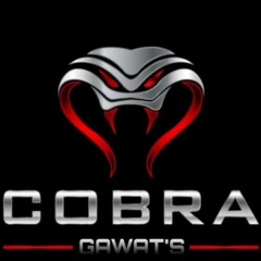 sabilcobra_37