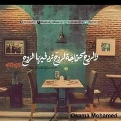 Taghreed Mohamed