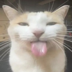ElPapuFrizk