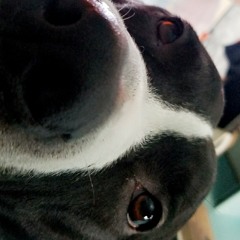 _J.