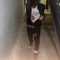 office_Jay