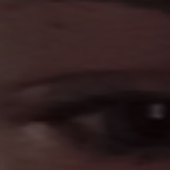 Norbi Kardos🍃🦖