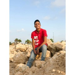 Mohamed Shafek