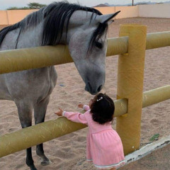 منه الله سعد