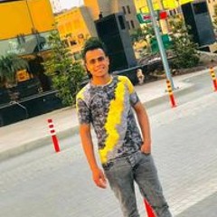 Mohsen Elawmy
