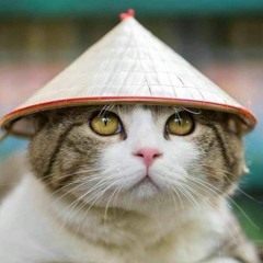 Trịnh Tuấn