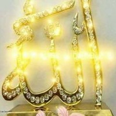 محمد المصري عاءلة الخولي
