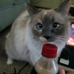 Caroline