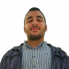 المهندس طه بن محمد القمبشاوي