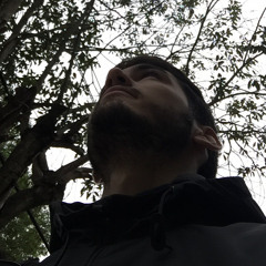 Lucas Echauri