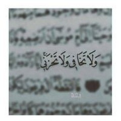 Shimaa Abdo
