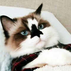 😍😍😍