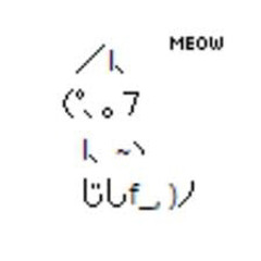 \(*ΦωΦ)ﾉ