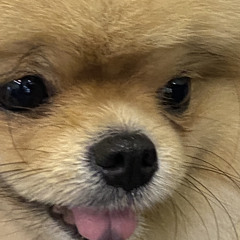 DuongGiaBao
