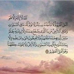Hend Elsayed