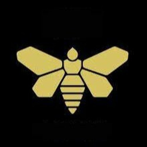 Wasp Burgh’s avatar