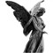 alaa
