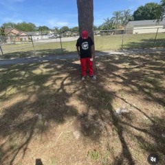 HbkJulius4x