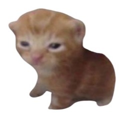 Niko Mouk