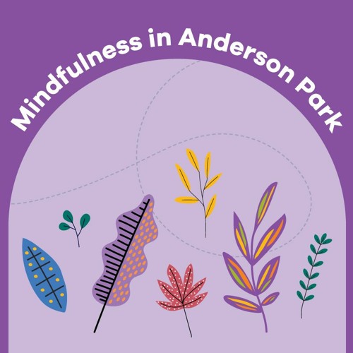 Mindfulness in Anderson Park, Hawthorn East