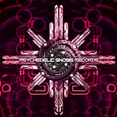 Psychedelic Gnosis Records