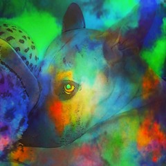 NotBigDog