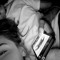 marmota