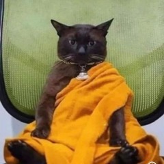 Jay Stazks (Señor Stazks👨🏾‍🌾)