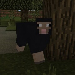 KONTEMPLAH