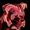 big dog waste