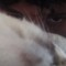 Jf_calisthenic