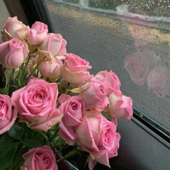 afatem7_